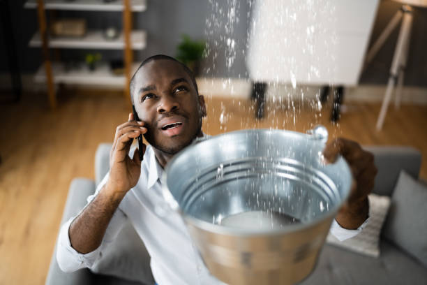 Best Flood restoration services  in Lebanon, IN