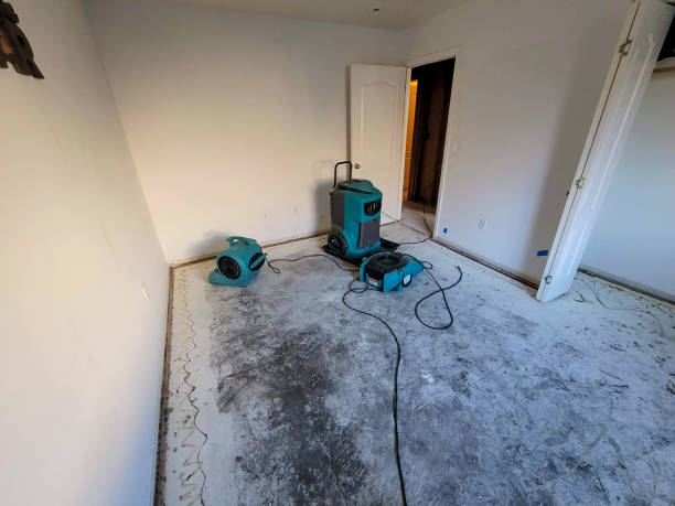 Best Flooded house restoration  in Lebanon, IN