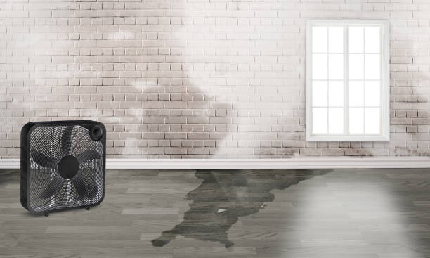 24/7 water damage repair in Lebanon, IN