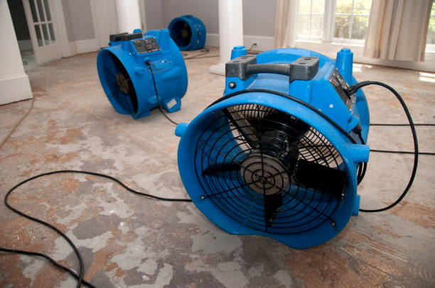 Best Water damage mitigation services  in Lebanon, IN